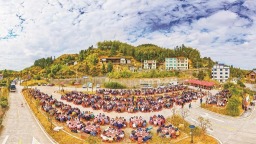 “樱舞茶香·福满屏山”活动在三明大田举办