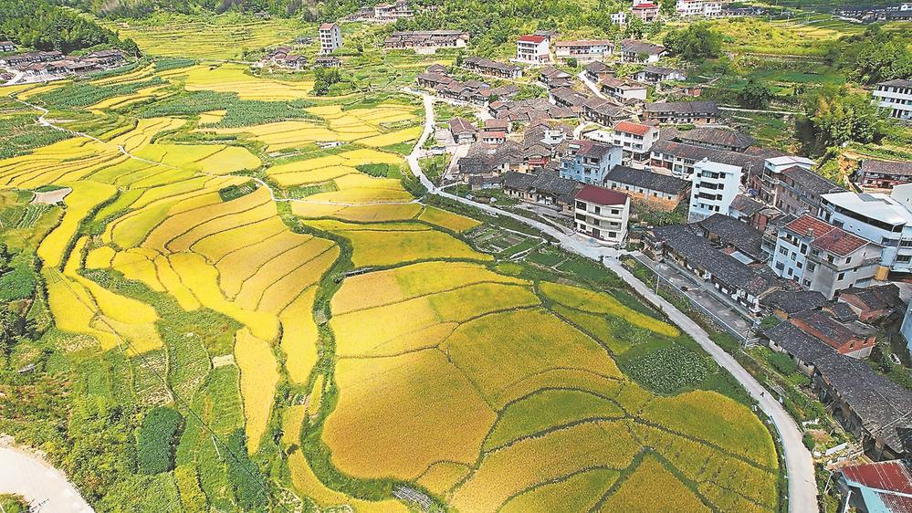 莆田仙游：奋勇争先 融入新发展格局