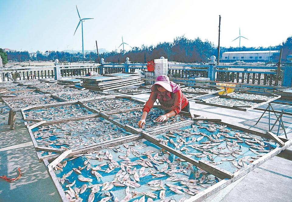 海的味道 莆田南日岛知道