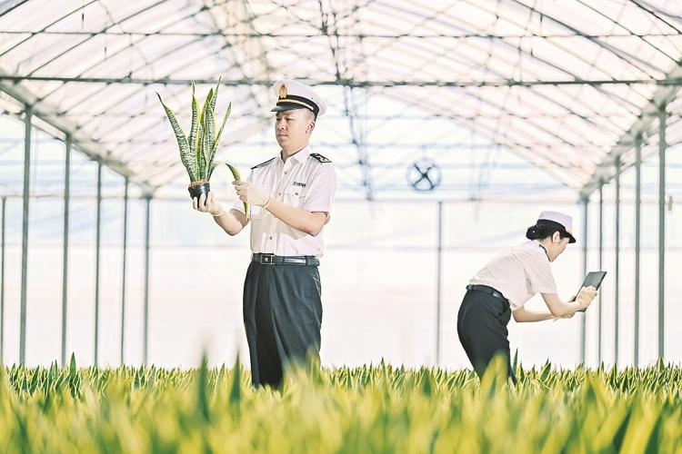 漳州：“漳字号”农产品奔涌出海_fororder_660fafe1-0dea-4636-99df-94e8f03dc4ff