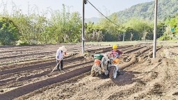 特色农业“多点开花” 莆田涵江多举措助推强村富民