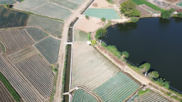 漳州市灌区改造取得成效 改善灌溉面积44.58万亩