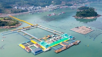 宁德霞浦：逐浪深蓝 向海而兴