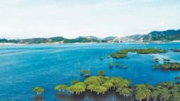 宁德八尺门内湾从“生态痛点”变身“滨海画廊”
