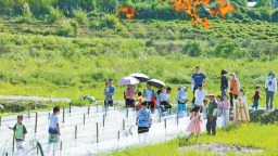 泉州安溪：千年茶香焕发新时代新韵味