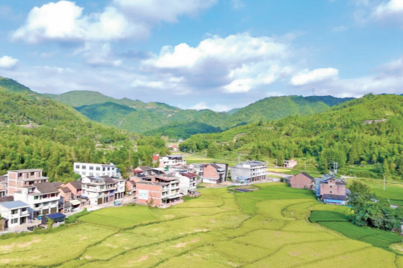 宁德福鼎：小田并大田 荒地变良田