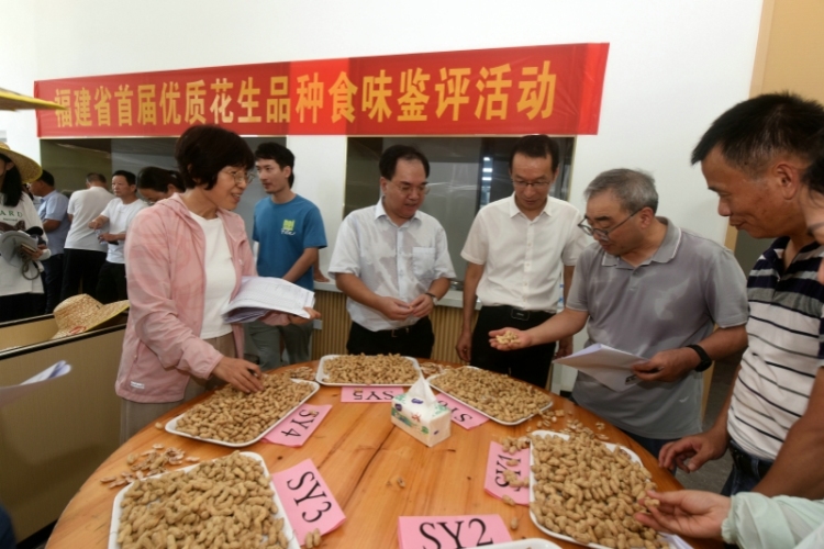福建省举行首届优质花生品种田间集中展示活动_fororder_微信图片_2025-08-01_142749_787_副本