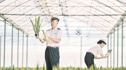 漳州：“漳字号”农产品奔涌出海