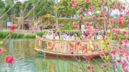 厦门：桃源赏春