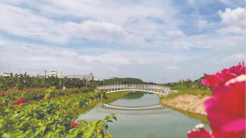 漳州芗城：珠里溪重生记