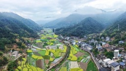 福州闽侯荆溪镇：花海映红魂 山野春色新