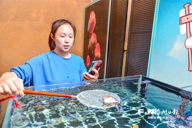 现代物流推动福州金鱼业蓬勃发展