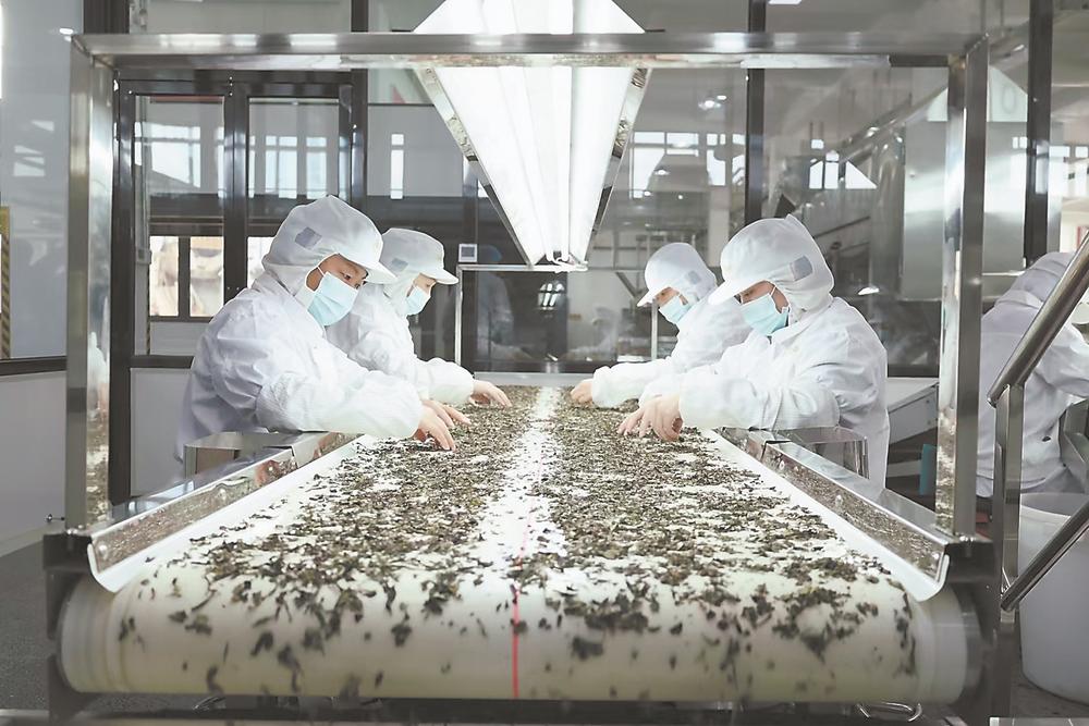 宁德围绕特色产业 开展产业链供应链质量赋能工作