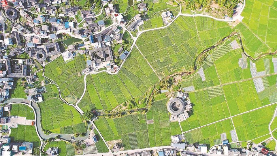 龙岩永定：土楼与农业种植基地构成美丽的乡村春景画卷_fororder_15f9f860-a68d-435a-b515-403d9ef7c5f3