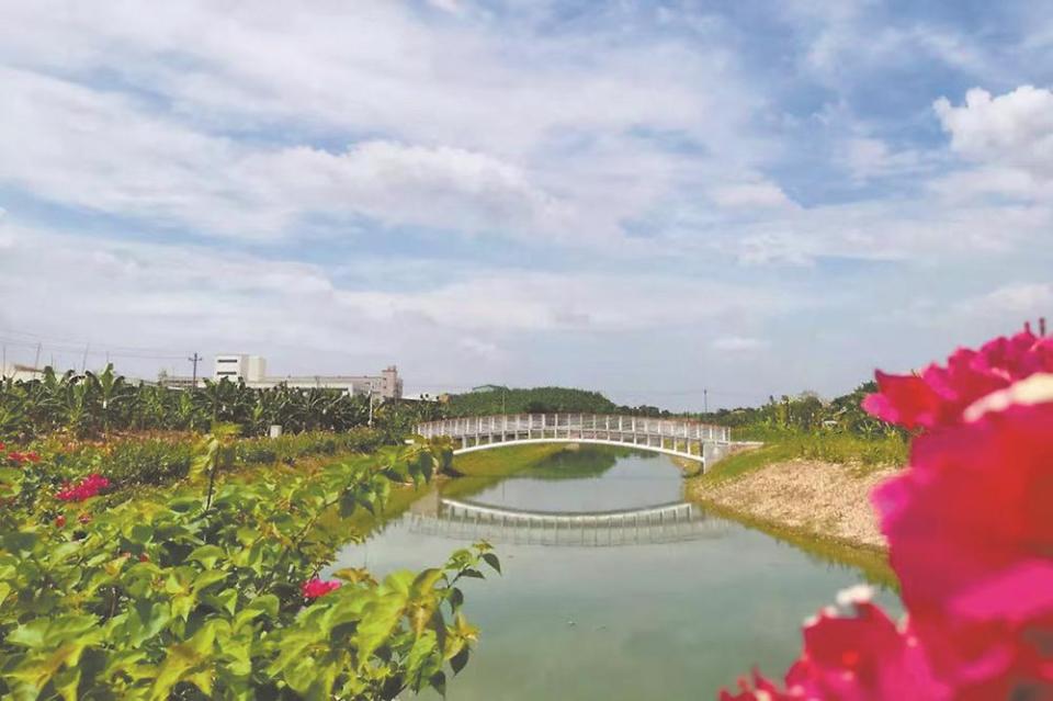 漳州芗城：珠里溪重生记