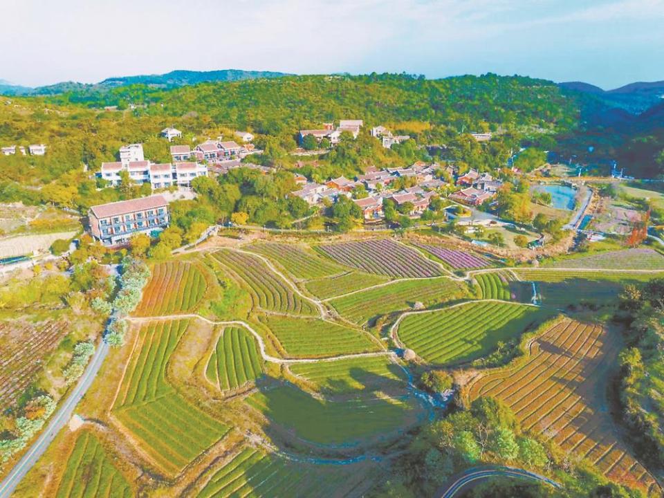 厦门：驻村规划师“画”出乡村新面貌