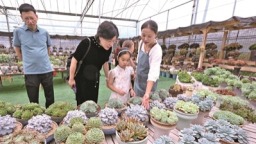 宁德：打好政策组合拳 全方位繁荣消费市场
