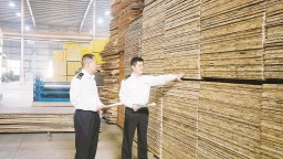 漳州：锚定低碳环保赛道 创新打开全球市场