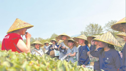 合福高铁：串起“黄金旅游带”和生态致富圈