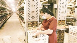 漳州华安高车乡：“智慧巢”孵出致富“金蛋蛋”