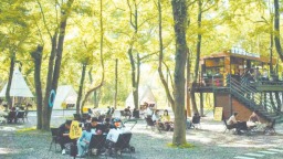 宁德霞浦渡头村：泼绿成金 绘就共富新画卷