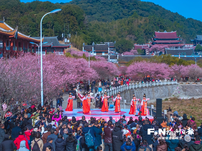 福州林阳寺：禅寺梅花绽放 红白相偕报春