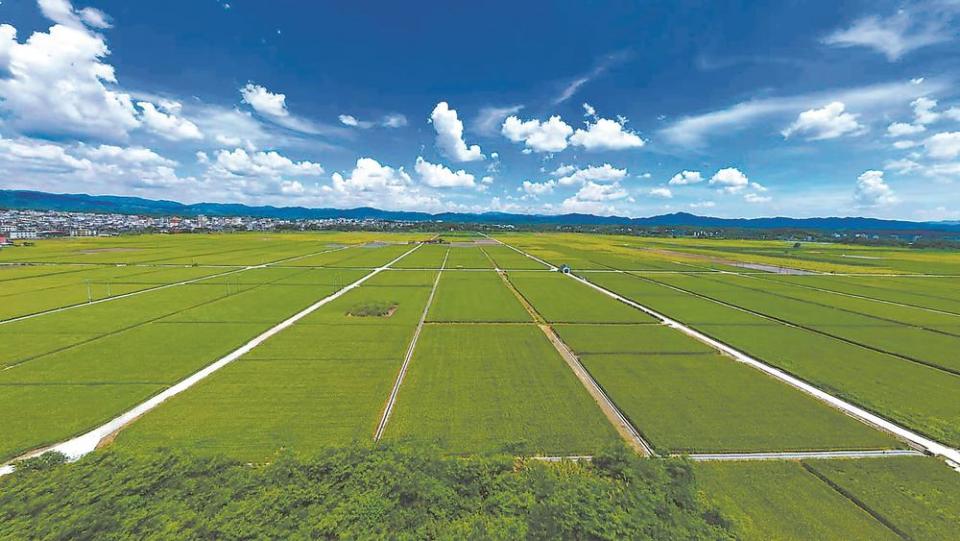 龙岩长汀：三代人接力种“三代田”