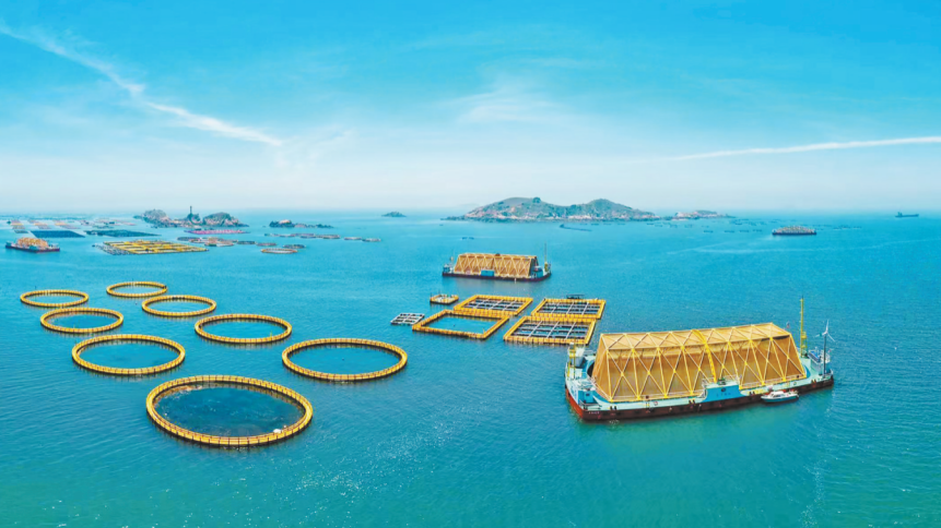 福州：做好海的文章　建设蓝色粮仓