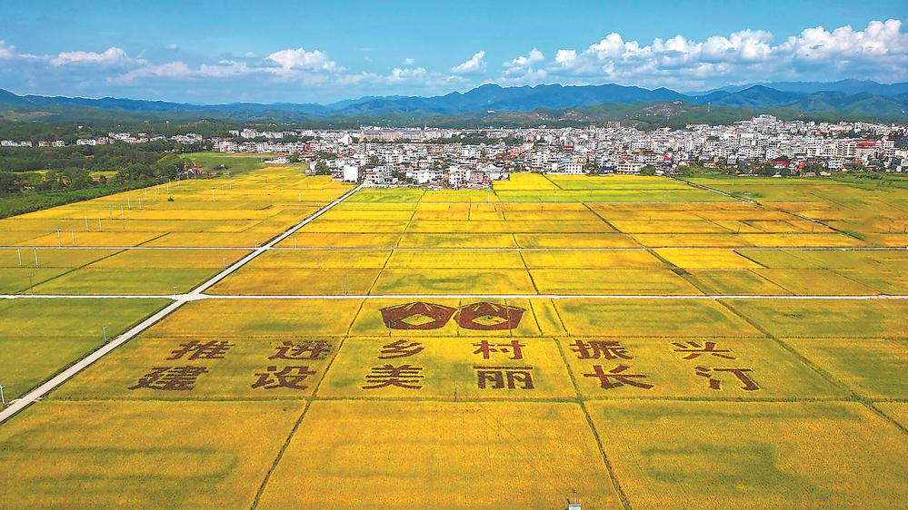 龙岩长汀：三代人接力种“三代田”