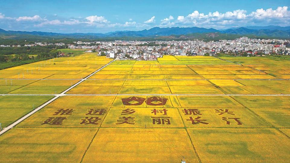 龙岩长汀：三代人接力种“三代田”