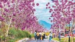 厦门集美后溪镇：冬暖如春