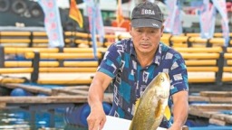 宁德大黄鱼产业：从“靠海吃海”到“链上生金”