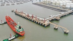 2026年上半年泉州斗尾港区化工品外贸出口翻番