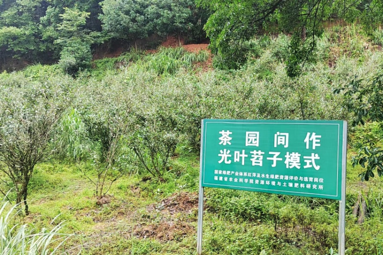 福建‌武夷山兴田生态茶产业“以质突围”的科技密码_fororder_图片3