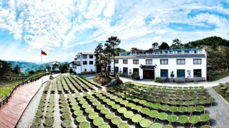 宁德柘荣：一叶白茶铺就乡村振兴路