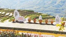 南平念山村梯田美不胜收