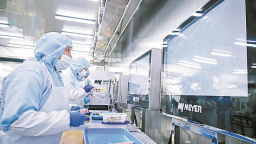 宁德：大黄鱼产业的数智之变