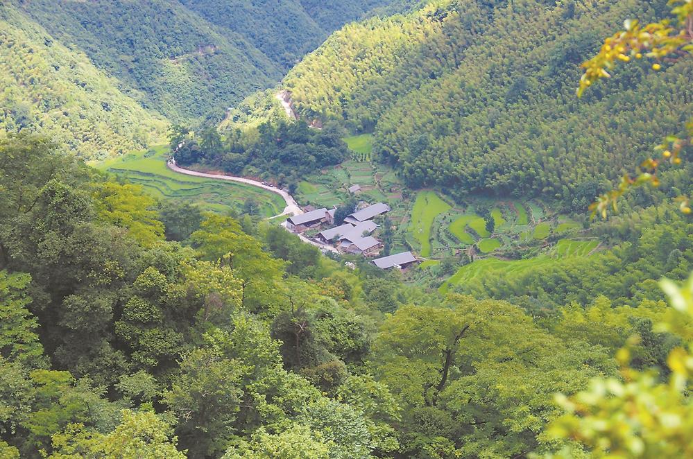 南平浦城双同村：诗与远方 就在家乡