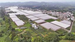 龙岩上杭：加快城乡融合 促进共同富裕