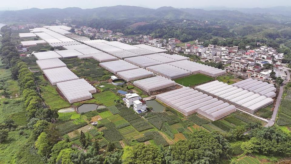龙岩上杭：加快城乡融合 促进共同富裕