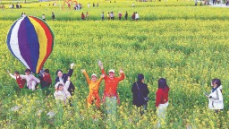 福建邵武：春正暖 花正盛