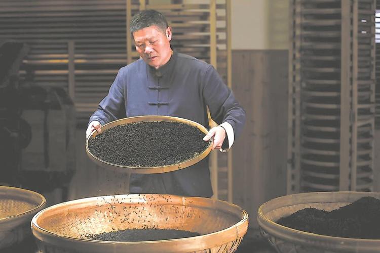 宁德福安：俏销新红茶 氤氲花果香