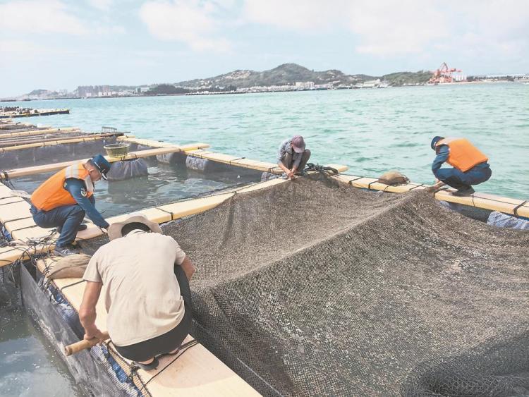 福建全力防御台风“丹娜丝” 76条客渡运航线停航