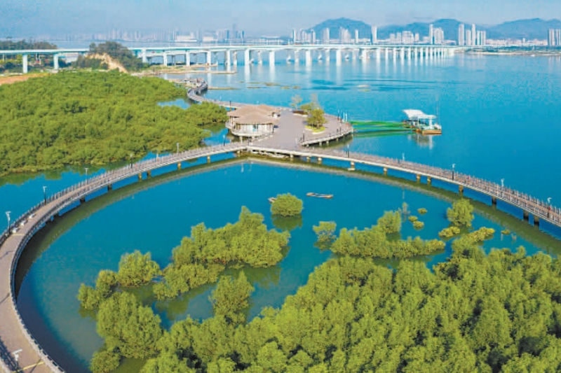 厦门推进海洋生态保护 建设全国海洋经济发展示范区_fororder_微信截图_20250604092613_副本