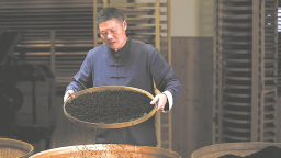 宁德福安：俏销新红茶 氤氲花果香