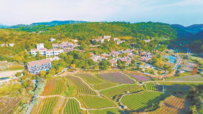 厦门：驻村规划师“画”出乡村新面貌