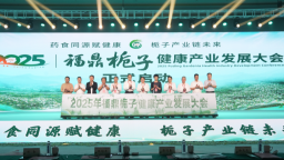 图片默认标题