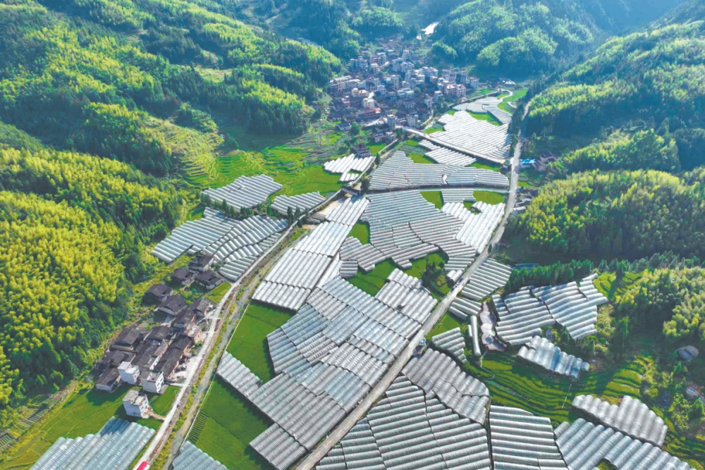 宁德周宁：抱团兴业为乡村振兴“扩圈”