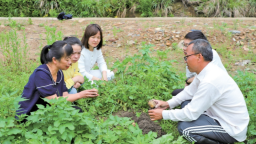 宁德周宁：田间“护薯战” 助力马铃薯稳产增收