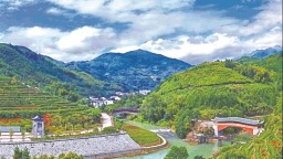 宁德福安坦洋：当好“领头羊” 奔向共富路